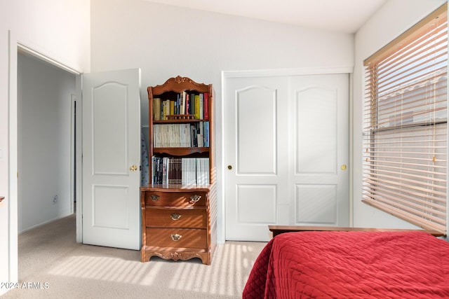 carpeted bedroom with a closet