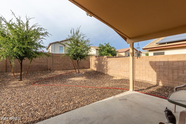 view of yard featuring a patio area