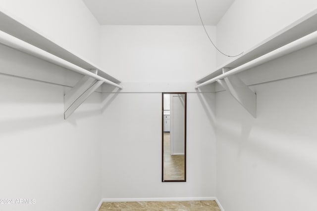 view of spacious closet