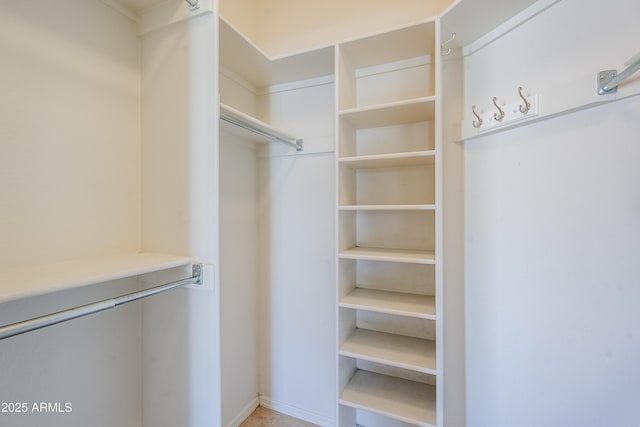 view of walk in closet