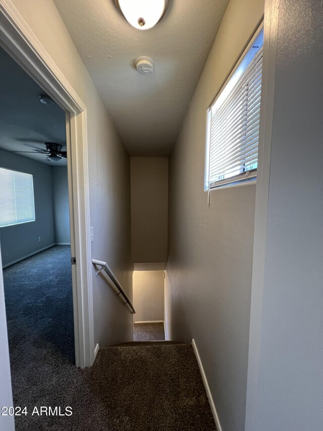 hallway with carpet floors