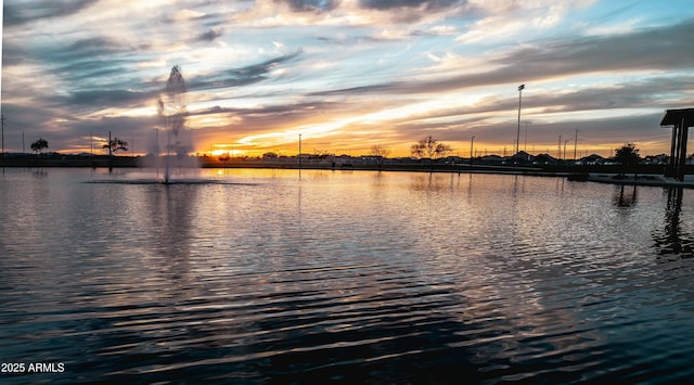 property view of water