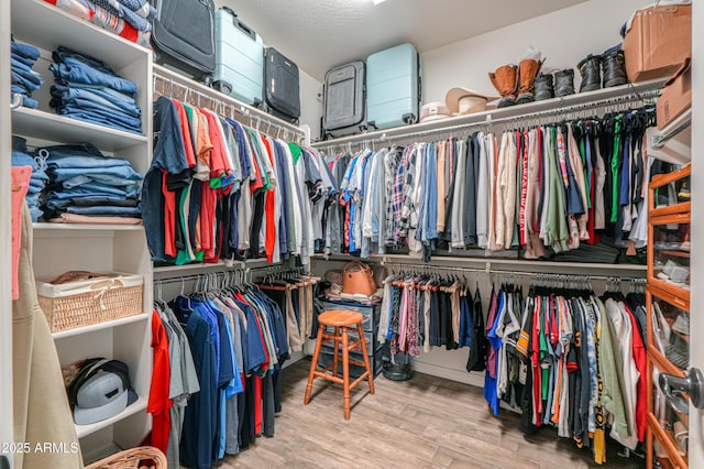 spacious closet featuring wood finished floors