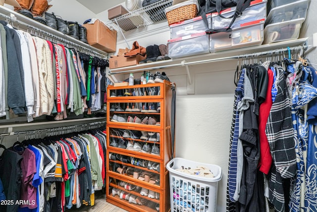 view of spacious closet