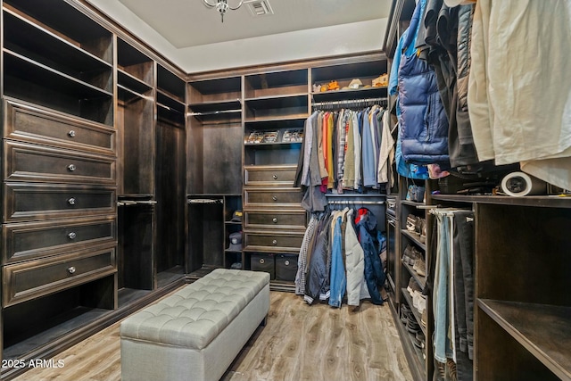 891 W Palo Brea Dr, Litchfield Park, AZ 85340 - spacious closet with visible vents and light wood finished floors
