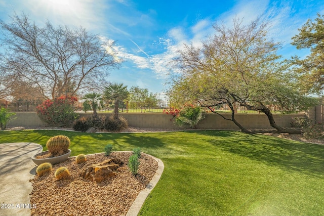 891 W Palo Brea Dr, Litchfield Park, AZ 85340 - view of yard with a fenced backyard