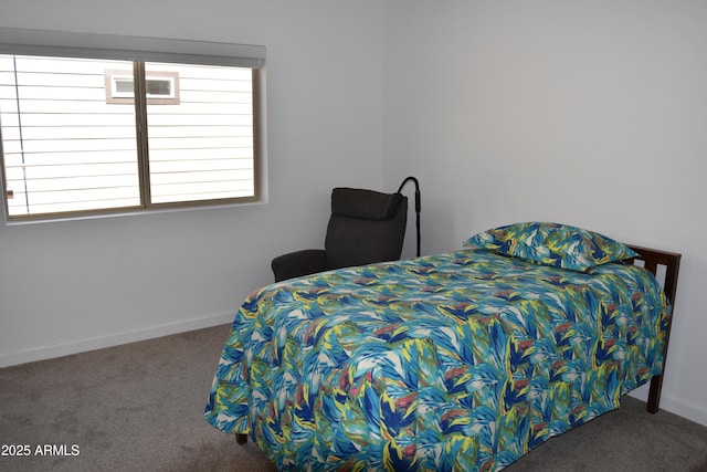 206 S Thunder Mtn, Payson, AZ 85541 - bedroom with carpet and baseboards