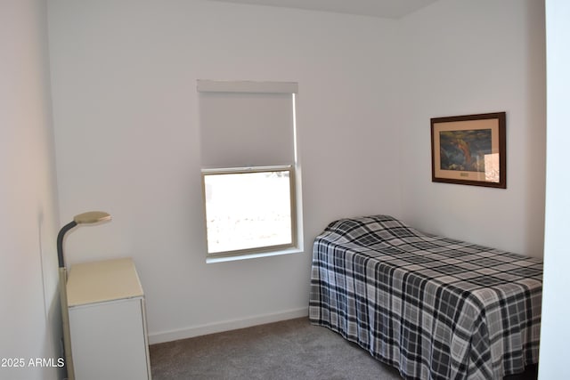 206 S Thunder Mtn, Payson, AZ 85541 - bedroom with carpet flooring and baseboards