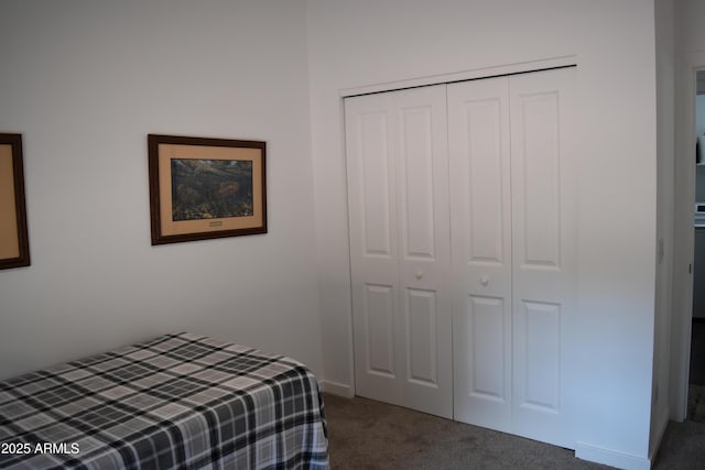 206 S Thunder Mtn, Payson, AZ 85541 - bedroom featuring carpet and a closet