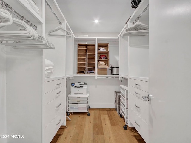 spacious closet featuring light wood-style floors