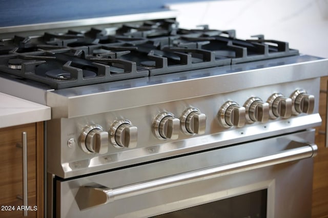 interior details featuring stainless steel range with gas stovetop