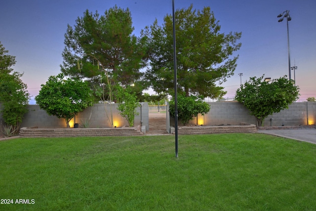 view of yard at dusk