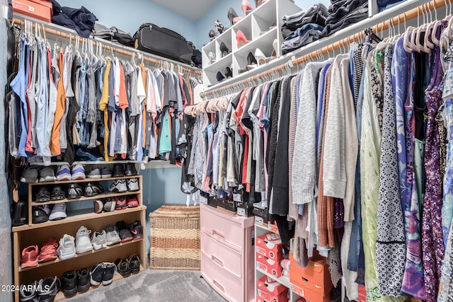 spacious closet with carpet floors