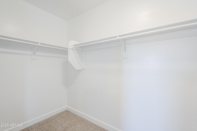 16159 W Maui Ln, Surprise, AZ 85379 - walk in closet featuring carpet flooring