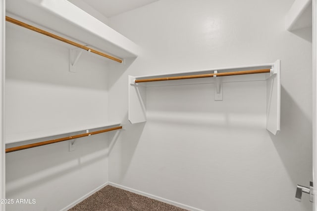 spacious closet with carpet flooring