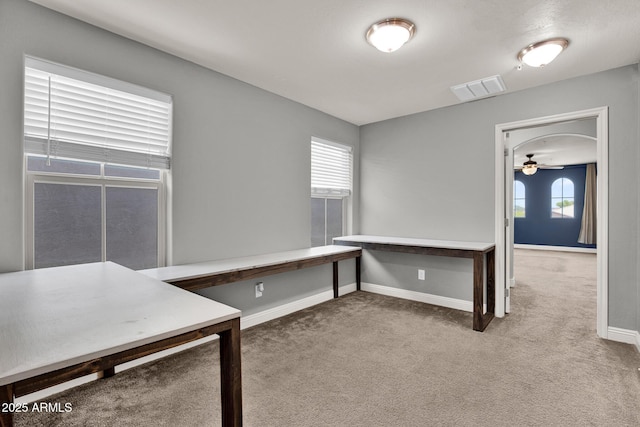 3036 N Acacia Way, Buckeye, AZ 85396 - unfurnished office featuring carpet floors, a ceiling fan, and plenty of natural light