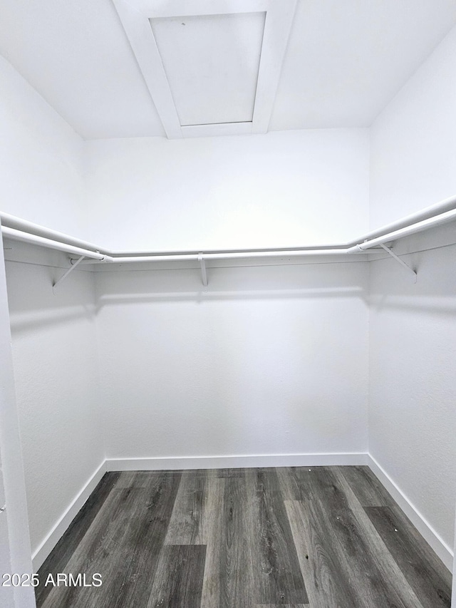 spacious closet with attic access and dark wood-type flooring