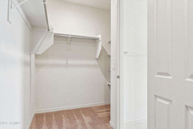 22987 E Pummelos Rd, Queen Creek, AZ 85142 - walk in closet featuring carpet flooring