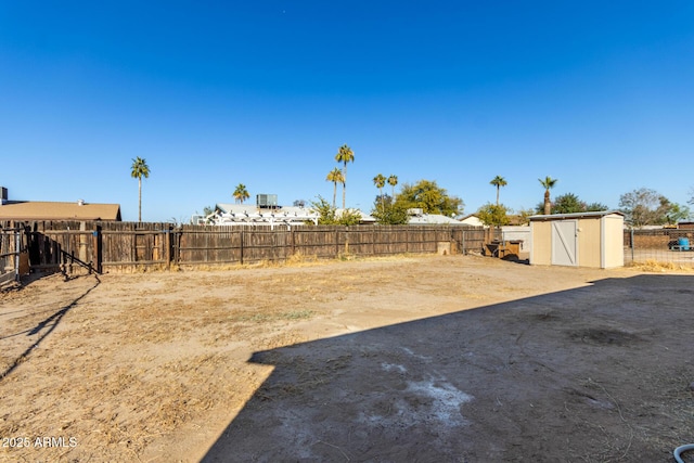 view of yard with a shed