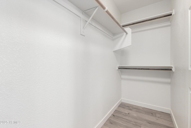 walk in closet featuring wood finished floors