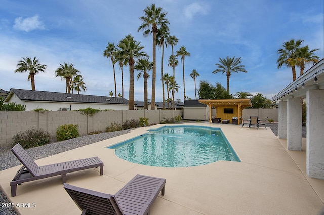 view of pool with a patio area