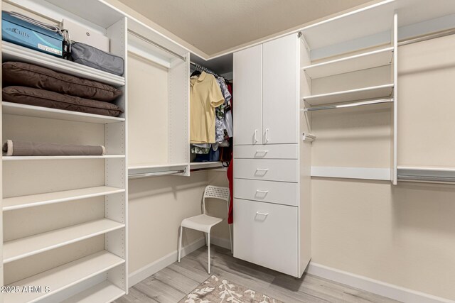 21472 E Saddle Ct, Queen Creek, AZ 85142 - spacious closet with light wood-style flooring