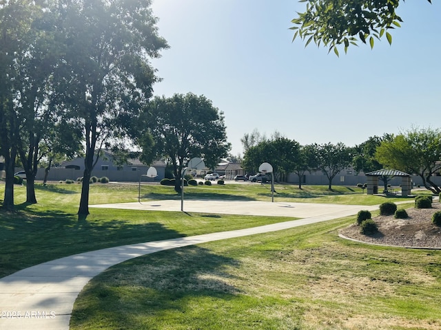 21472 E Saddle Ct, Queen Creek, AZ 85142 - surrounding community featuring community basketball court and a yard