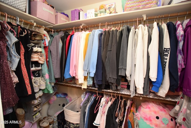 view of spacious closet