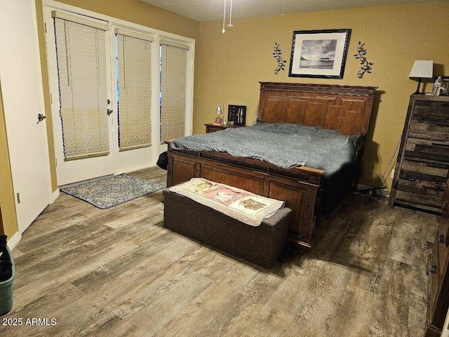 bedroom with two closets and hardwood / wood-style flooring