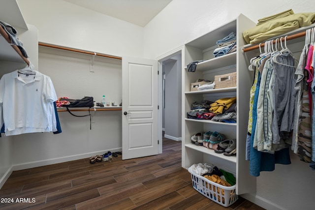 spacious closet with dark hardwood / wood-style floors