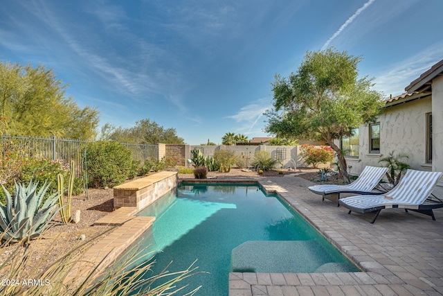 view of pool featuring a patio area