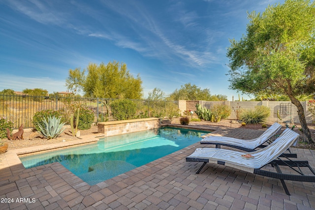 view of pool with a patio