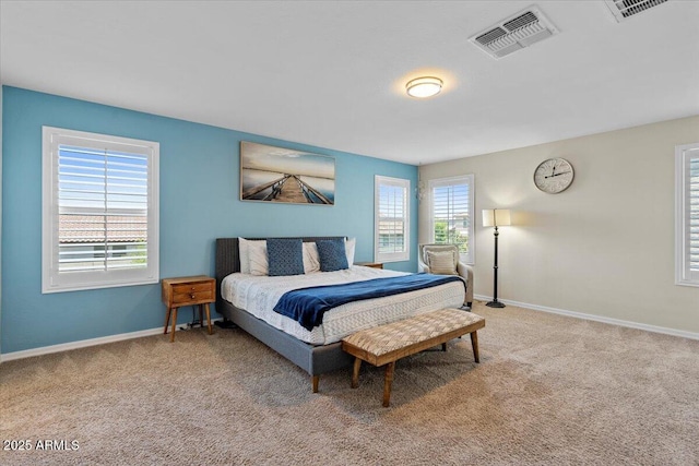 880 S 150th Dr, Goodyear, AZ 85338 - bedroom with carpet and baseboards