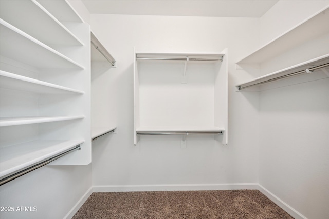 13529 W Remuda Dr, Peoria, AZ 85383 - walk in closet featuring carpet floors