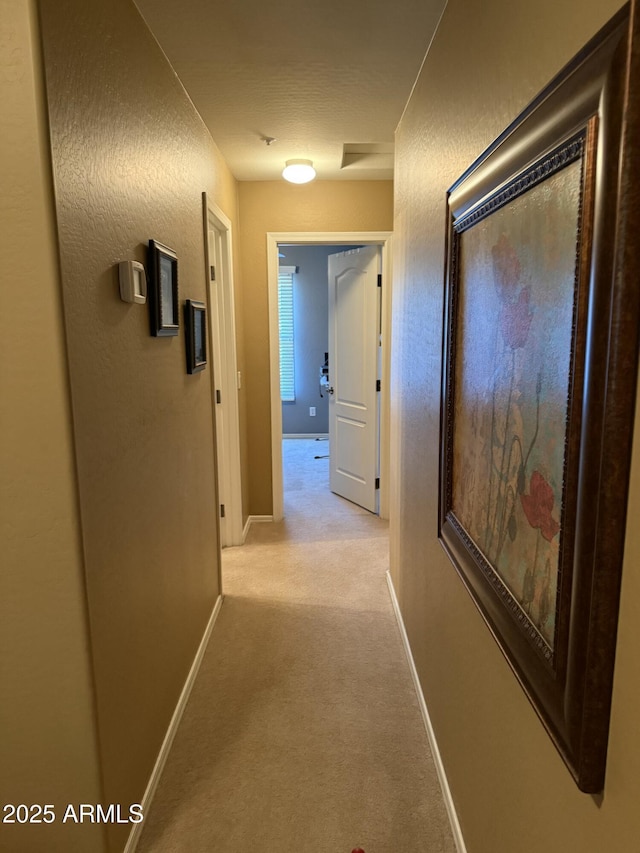 hallway with light carpet