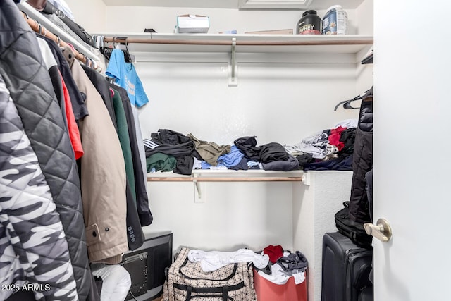 view of spacious closet