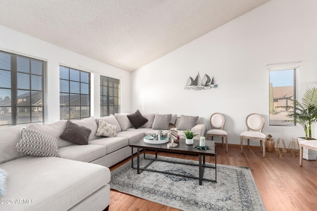 living room with hardwood / wood-style flooring, vaulted ceiling, and a textured ceiling