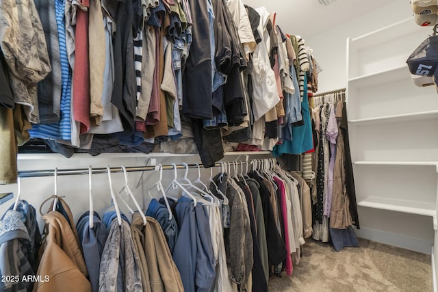 walk in closet featuring carpet floors