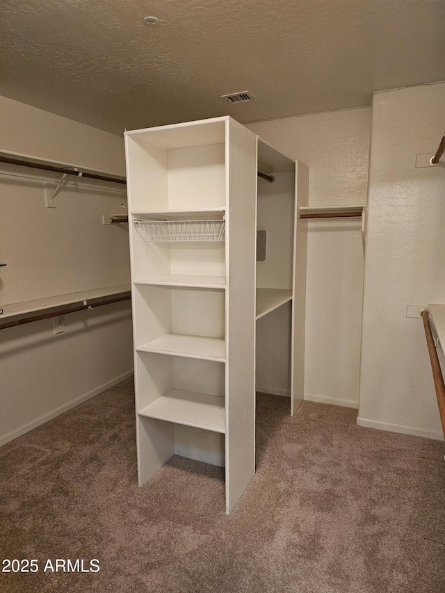 walk in closet with carpet floors