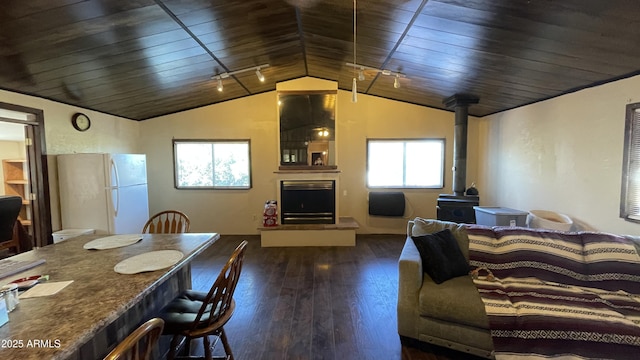 interior space with lofted ceiling, a healthy amount of sunlight, dark hardwood / wood-style flooring, and a wood stove