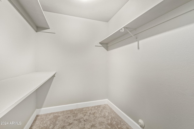 spacious closet featuring carpet flooring