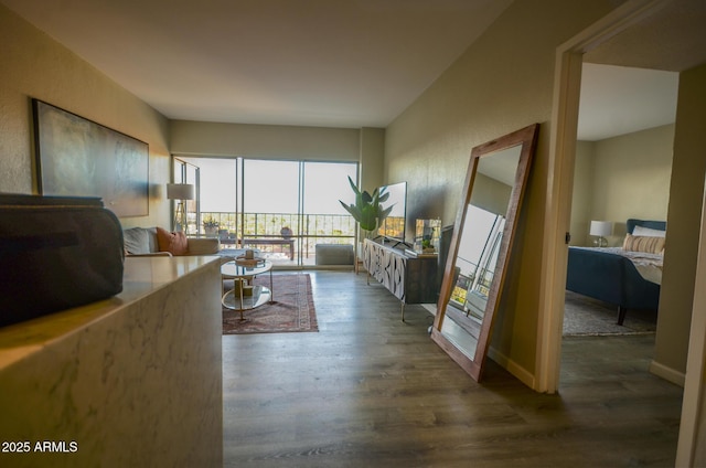 living room featuring hardwood / wood-style flooring