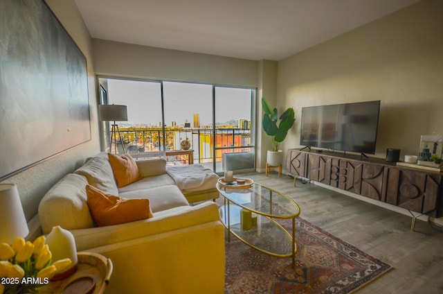 living room with hardwood / wood-style floors