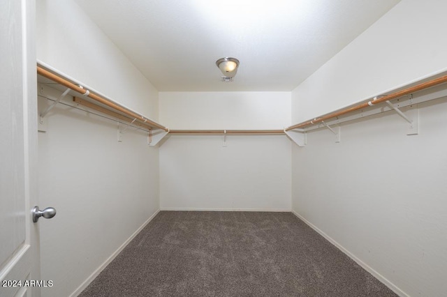 walk in closet featuring dark carpet