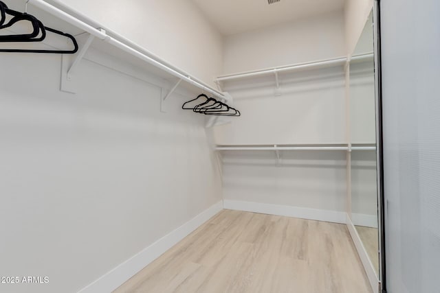 742 W Vineyard Plains Dr, San Tan Valley, AZ 85143 - spacious closet featuring wood finished floors