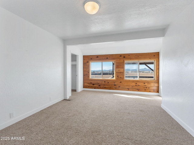 carpeted empty room featuring wooden walls, baseboards, and a textured ceiling