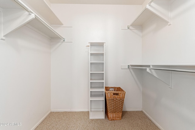 spacious closet featuring light colored carpet