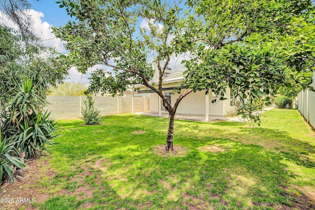 view of yard with a patio and a fenced backyard