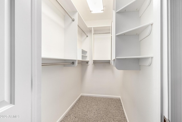 20801 N 90th Pl Unit 210, Scottsdale, AZ 85255 - spacious closet with carpet floors