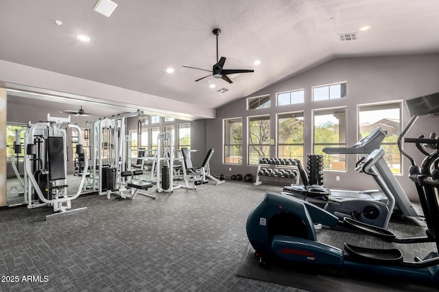 20801 N 90th Pl Unit 210, Scottsdale, AZ 85255 - gym featuring ceiling fan, visible vents, plenty of natural light, and lofted ceiling